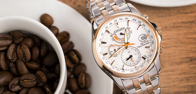 Citizen Elegant Ladies Eco-Drive Radio Controlled FC0014-54A