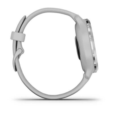 Garmin Venu 2S Silver/Gray Band