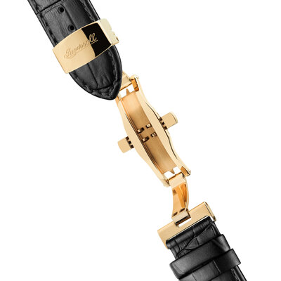 Ingersoll The Chord Automatic I07202