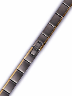 Titanium horlogeband Orient ADBWJTZ (voor model CUBLS), bicolor