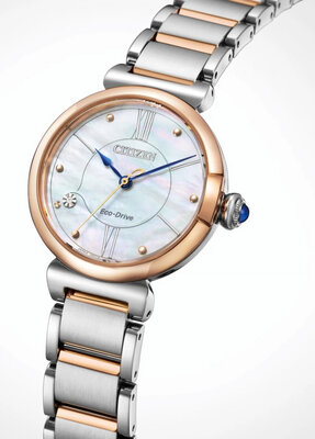 Citizen Elegant Eco-Drive EM1074-82D