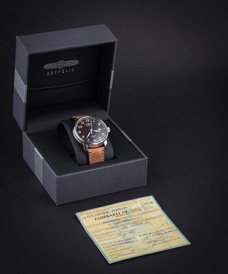 Zeppelin New York 8878-3