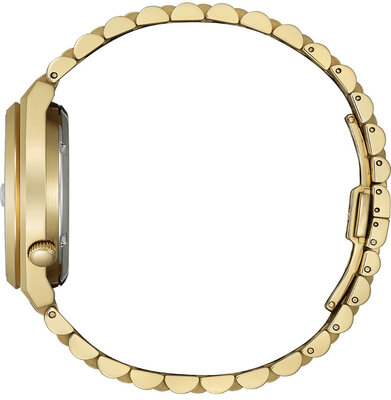 Citizen Elegant Tsuyosa Automatic NK0023-57L