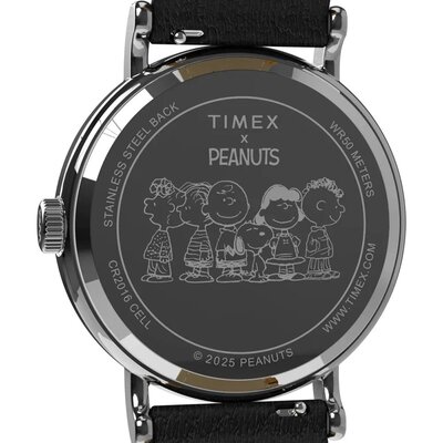 Timex Peanuts TW2Y12300UK