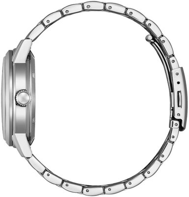 Citizen Elegant Automatic NJ0210-56A