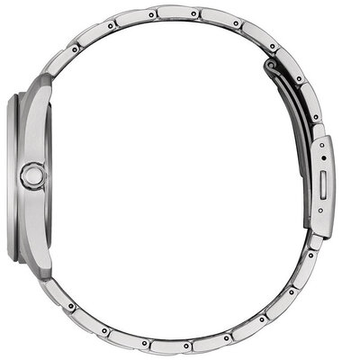 Citizen Elegant Eco-Drive AW1900-50E Super Titanium