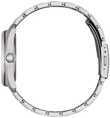 Citizen Elegant Eco-Drive AW1900-50L Super Titanium