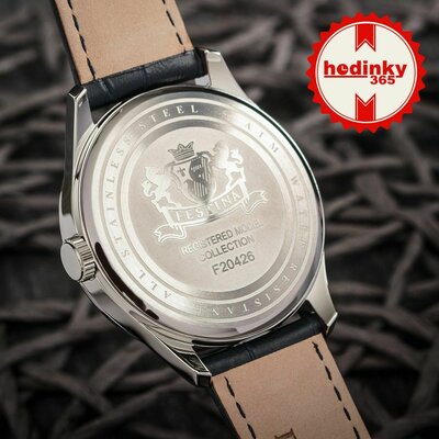 Festina Classic Strap 20426/2