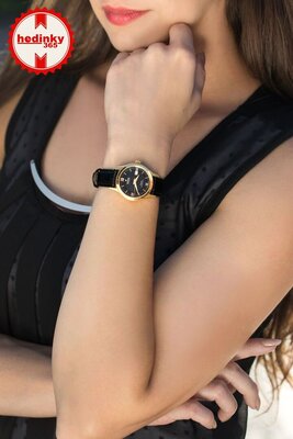 Festina Swiss Made 20011/4